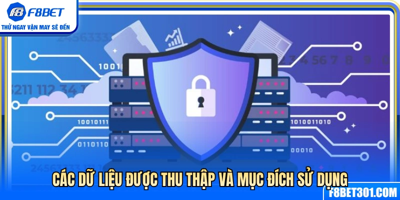 Các dữ liệu được thu thập và những lý do sử dụng 