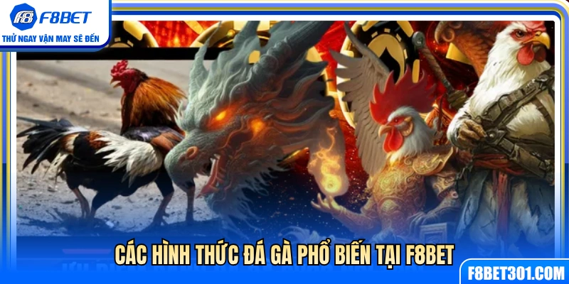 Điểm danh các loại hình cá cược đá gà 