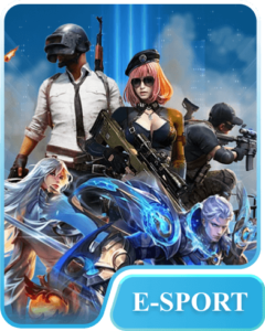 hometype esports 240x300 1